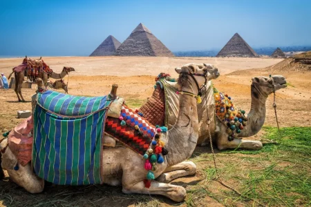 Learn about  to Egypt travel tips in a nutshell