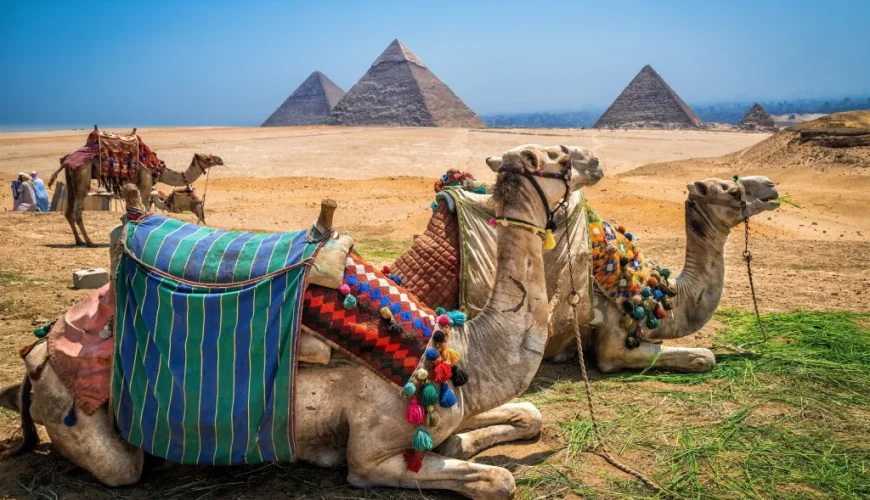 Learn about  to Egypt travel tips in a nutshell
