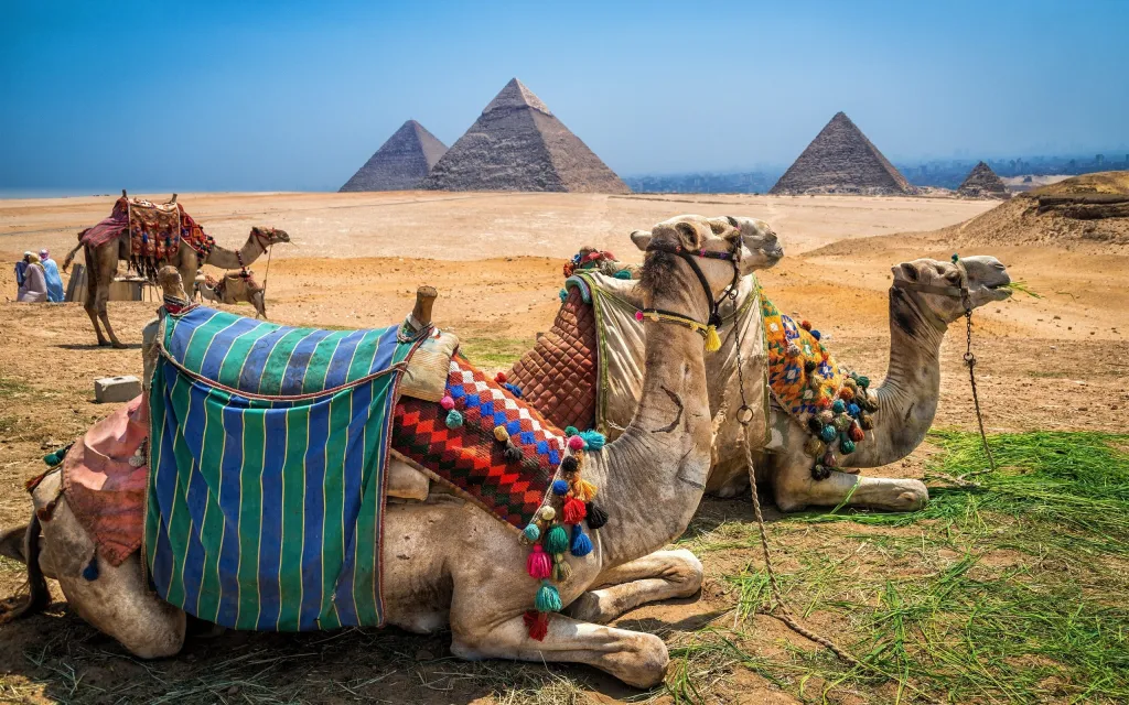 Learn about  to Egypt travel tips in a nutshell