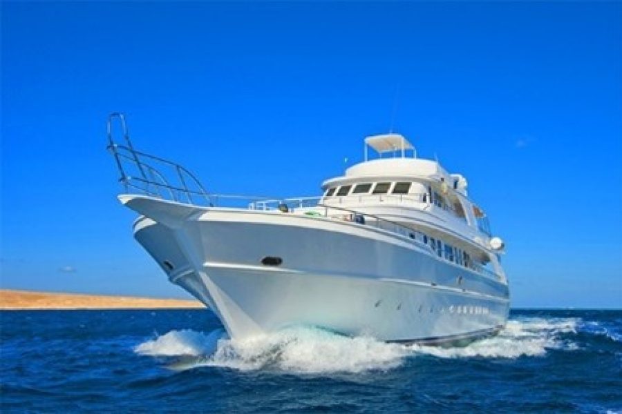 Ras Muhammad & White Island Boat Trip